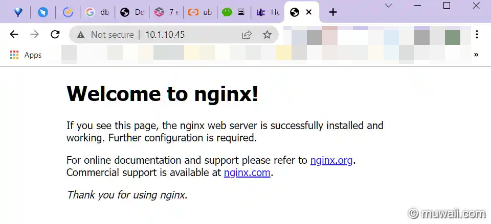 nginx welcome page